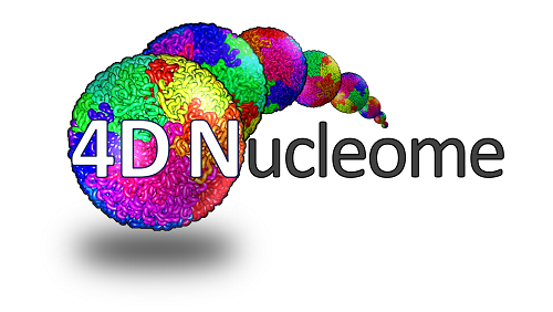4dn-logo_1_orig.png